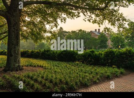 Arbres rétroéclairés près du jardin en contrebas de l'université William and Mary à Williamsburg, en Virginie Banque D'Images