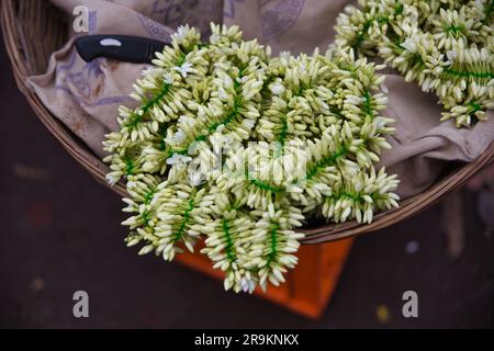 Gros plan des guirlandes de fleurs et de boutons de jasmin à vendre Banque D'Images