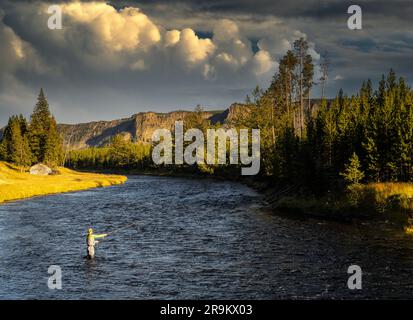 Pêche à la mouche sur Madison River, parc national de Yellowstone, Wyoming Sky ajouté Banque D'Images