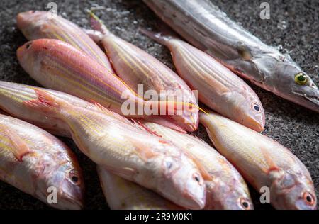 Une variété de poissons frais principalement de queue jaune Banque D'Images