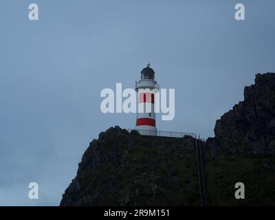 Vue panoramique sur le phare à rayures rouges et blanches perché au sommet d'une colline de falaise au bord de l'océan, Cape Palliser Wellington North Island New Zealan Banque D'Images