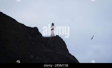 Vue panoramique sur le phare à rayures rouges et blanches perché au sommet d'une colline de falaise au bord de l'océan, Cape Palliser Wellington North Island New Zealan Banque D'Images