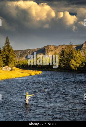 Pêche à la mouche sur Madison River, parc national de Yellowstone, Wyoming Sky ajouté Banque D'Images