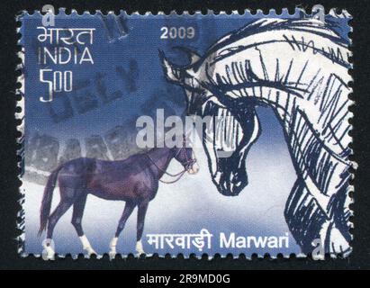 INDE - VERS 2009: Timbre imprimé par l'Inde, montre le cheval, vers 2009 Banque D'Images