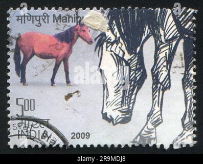 INDE - VERS 2009: Timbre imprimé par l'Inde, montre le cheval, vers 2009 Banque D'Images