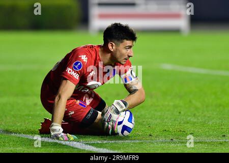 São Paulo (SP), 27/06/2023 - Futebol/SÃO PAULO-TIGRE (ARG) - Marinelli du Tigre (ARG) - match entre São Paulo x Tigre (ARG), valable pour la sixième partie de la scène de groupe, de la Copa Sudamericana, tenue au stade de Morumbi, zone sud de São Paulo, dans la nuit de mardi, 27. Banque D'Images