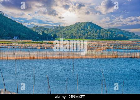 Imaginez une ferme de crevettes au Vietnam dans la lumière du soir Banque D'Images