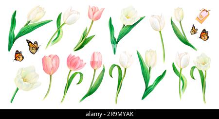 Aquarelle dessinée ensemble de belles fleurs de tulipe rose et blanc, papillons, coeur décoration, étiquettes de nom sur fond blanc. Dessin pour logo Banque D'Images