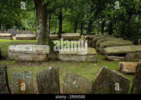 Necrópolis de San Adrián de Argiñeta, Ermita de San Adrián, Elorrio, Vizcaya, País Vasco, España Banque D'Images