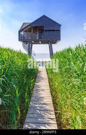 Cabane d'observation des oiseaux en bois à la mer à Nieuwe Statenzijl, pays-Bas Banque D'Images