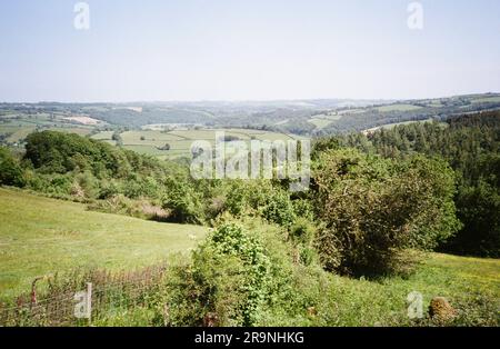 High Bickington, Devon, Angleterre, Royaume-Uni. Banque D'Images