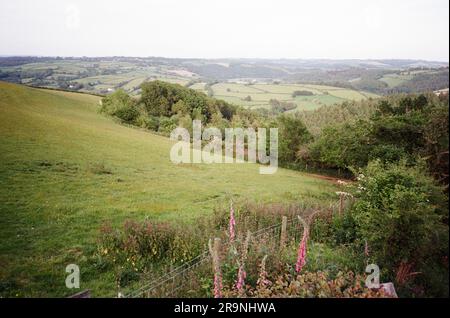 High Bickington, Devon, Angleterre, Royaume-Uni. Banque D'Images