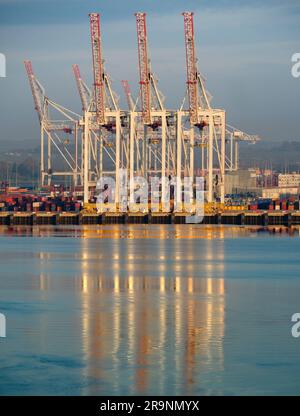 Idéalement situé sur la côte sud de l'Angleterre, près du canal, et avec d'excellentes liaisons de transport vers Londres et au-delà, Southampton a un contai très busty Banque D'Images