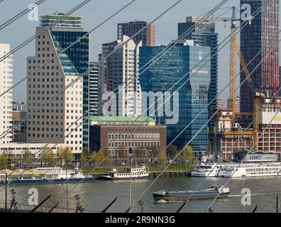 Nommé d'après le grand philosophe et humaniste hollandais de la  renaissance, le magnifique nouveau pont suspendu de Rotterdam ajoute  considérablement à la ville Photo Stock - Alamy