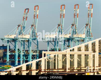 Le port de Zeebrugge est un port de grande taille pour conteneurs, marchandises en vrac, véhicules neufs et terminaux de traversier de passagers en mer du Nord. manipulation de plus de 50 millions de tonnes Banque D'Images