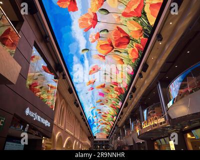 Aujourd'hui, les grands paquebots de croisière sont comme des villes flottantes, avec tous les équipements et les problèmes qui impliquent. A part les lignes britanniques taïdées, elles ont aussi tendance à towa Banque D'Images