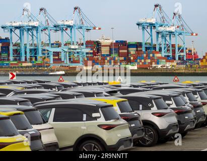 Lignes de wagons importés venant d'arriver sur le quai de Zeebrugge, Belgique, en attente de livraison et de transbordement. En arrière-plan, nous voyons des piles de SH Banque D'Images