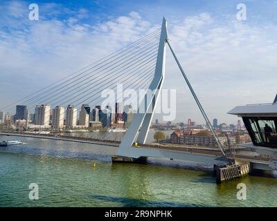 Nommé d'après le grand philosophe et humaniste hollandais de la  renaissance, le magnifique nouveau pont suspendu de Rotterdam ajoute  considérablement à la ville Photo Stock - Alamy
