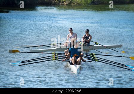 Des équipes d'aviron sur la Tamise à Sandford Village, juste à côté de Sandford Lock et en aval d'Oxford. Il est tôt un matin d'été, mais vous pouvez tout voir Banque D'Images