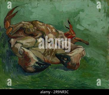 Vincent van Gogh – crabe sur son dos 1888 Banque D'Images