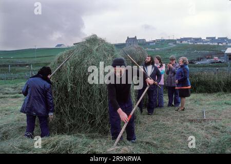 Crofting des îles Shetland. Crofters, mari, femme et famille amis construisant une pile de foin. Nouvelles maisons de l'industrie pétrolière sur la colline à distance. Shetlands Mainland, îles Shetland, Écosse, vers 1979. ROYAUME-UNI 1970S HOMER SYKES Banque D'Images