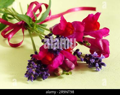 Petit bouquet de snapdragon rouge et fleurs de lavande violette avec noeud magenta Banque D'Images