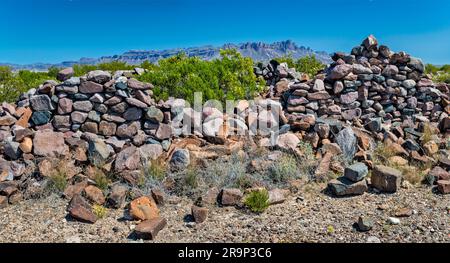 Vestiges de Johnson Ranch à River Road, désert de Chihuahuan, montagnes de Chisos à distance, parc national de Big Bend, Texas, États-Unis Banque D'Images