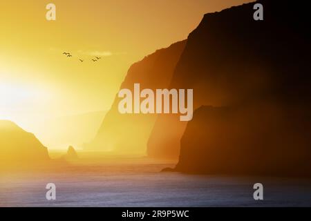 Pololu Valley avec lever du soleil et oiseaux. Hawaï, la grande île Banque D'Images