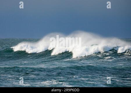 Grande vague se brisant dans la mer ouverte au large de Brest, France Banque D'Images