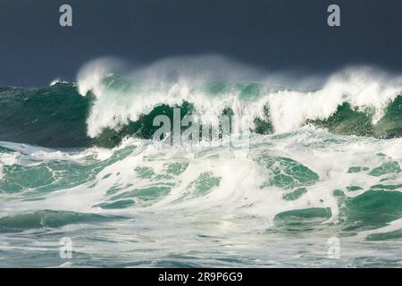 De grandes vagues se brisent en hiver dans la tempête en pleine mer au large de la côte nord de l'Irlande. Fintra Beach dans le comté de Donegal Banque D'Images