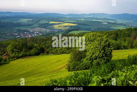 Prairie, champ, forêt, maison et village avec collines sur fond. Paysage frais et verdoyant près du village de Lipa près de Zlin, Moravie, République Tchèque. Banque D'Images