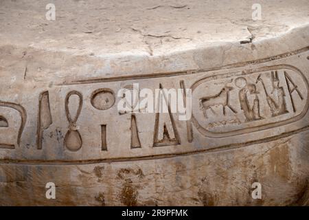 La Cartouche égyptienne sur un monument égyptien ancien Banque D'Images