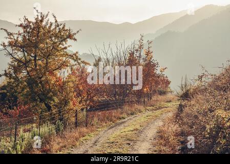 Belle route de montagne vide. Paysage d'automne coloré. Voyage en Grèce. Voyage en voiture. Banque D'Images
