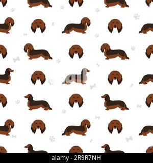 Motif long sans coutures Dachshund. Différentes poses, ensemble de couleurs de pelage. Illustration vectorielle Illustration de Vecteur