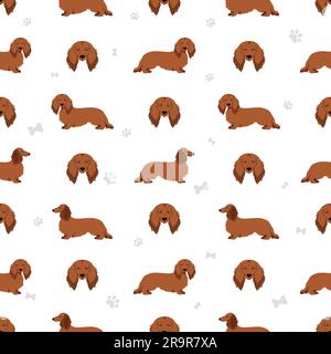 Motif long sans coutures Dachshund. Différentes poses, ensemble de couleurs de pelage. Illustration vectorielle Illustration de Vecteur