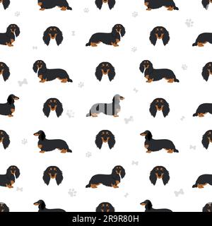 Motif long sans coutures Dachshund. Différentes poses, ensemble de couleurs de pelage. Illustration vectorielle Illustration de Vecteur