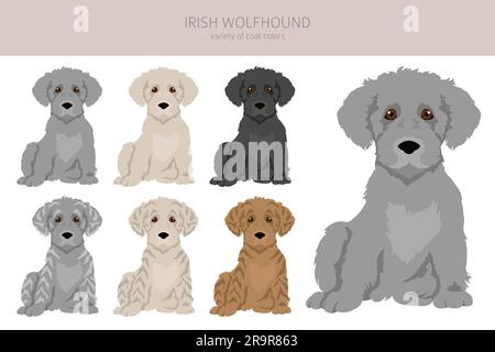 Chien de chasse irlandais, clipart chiots. Différentes poses, ensemble de couleurs de pelage. Illustration vectorielle Illustration de Vecteur