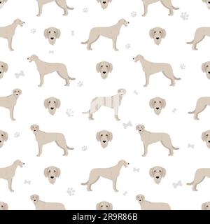 Motif de chien de chasse irlandais sans coutures.Différentes poses, ensemble de couleurs de pelage.Illustration vectorielle Illustration de Vecteur