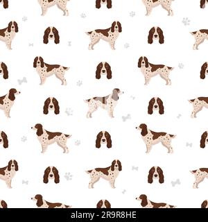 Motif espagnol russe sans coutures. Ensemble de couleurs de manteau. Infographie sur les caractéristiques de toutes les races de chiens. Illustration vectorielle Illustration de Vecteur