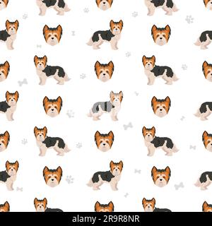 Motif sans coutures Biewer Yorkshire Terrier. Différentes poses, ensemble de couleurs de pelage. Illustration vectorielle Illustration de Vecteur