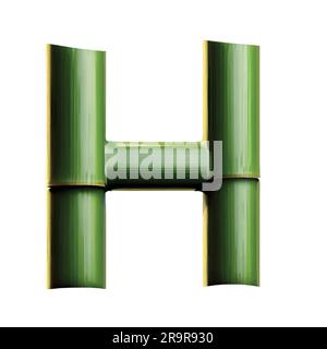 Lettre H majuscule en bambou vert sur fond blanc Illustration de Vecteur