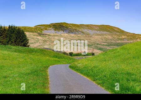 Vue sur les North Yorkshire Dales avec Whernside au loin. A 736m, c'est le plus haut des trois sommets. Route étroite ou chemin avec virage. Banque D'Images