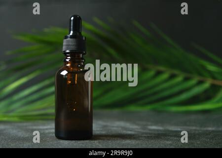 Goutte de liquide clair, d'huile, de sérum ou de teinture s'écoulant de la pipette dans le col d'un flacon médical marron sur fond noir avec des feuilles de palmier. Banque D'Images