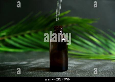 Goutte de liquide clair, d'huile, de sérum ou de teinture s'écoulant de la pipette dans le col d'un flacon médical marron sur fond noir avec des feuilles de palmier. Banque D'Images