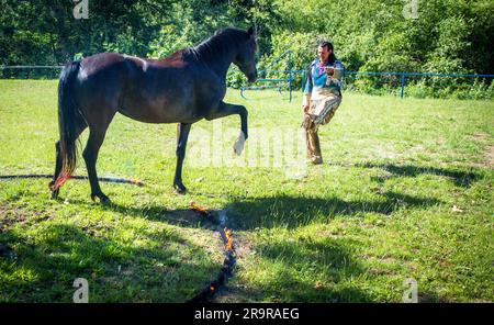 Neu Damerow, Allemagne. 27th juin 2023. Le 'professionnel indien' Wolfgang Kring, âgé de 72 ans, s'entraîne avec son cheval pour le spectacle Apache live de 30th. Sur la scène naturelle dans le district des lacs de Mecklembourg, la pièce en cours célébrera sa première le dernier week-end de juillet. Un total de six représentations avec environ 30 acteurs amateurs sont prévues sur un total de trois week-ends. L'histoire de fiction se trouve à l'époque du début de la guerre civile aux États-Unis, au milieu du 19th siècle. Credit: Jens Büttner/dpa/Alay Live News Banque D'Images