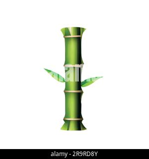 Lettre majuscule I en vert bambou avec fond blanc Illustration de Vecteur