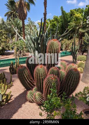 Parc paisible dans la Nouvelle ville de Marrakech, Maroc Banque D'Images