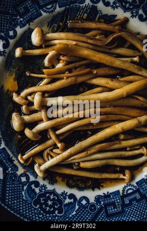 Champignons Enoki sautés à l'ail, à l'huile de sésame, à la sauce soja, cuisine d'Asie de l'est sur une assiette japonaise bleue et blanche Banque D'Images