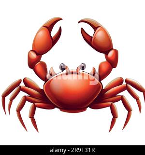 illustration de crabe sur une toile blanche Illustration de Vecteur