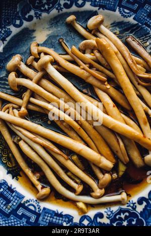 Champignons Enoki sautés à l'ail, à l'huile de sésame, à la sauce soja, cuisine d'Asie de l'est sur une assiette japonaise bleue et blanche Banque D'Images